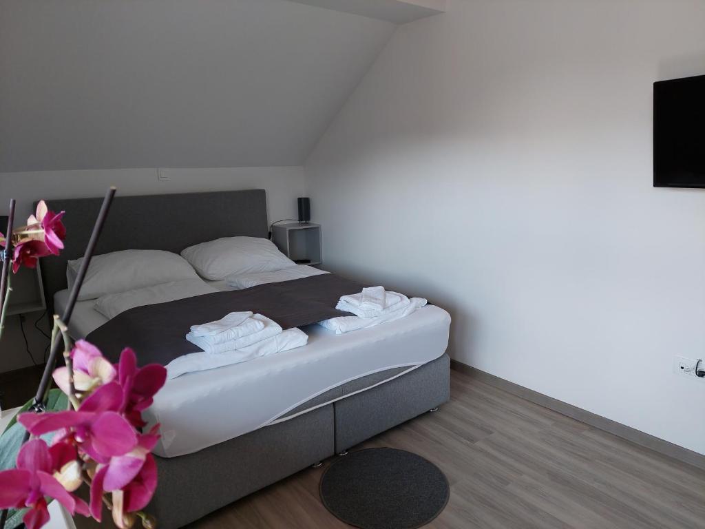 Apartment Trubarjeva33, near Ljubljana, free parking - Apartment With Balcony