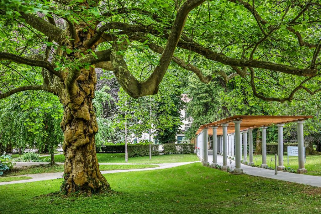Zahrada ubytování Hotel Švicarija - Terme Dobrna