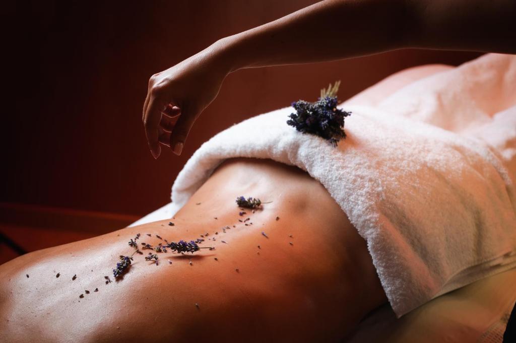 Lázně a/nebo wellness v ubytování Hotel Švicarija - Terme Dobrna
