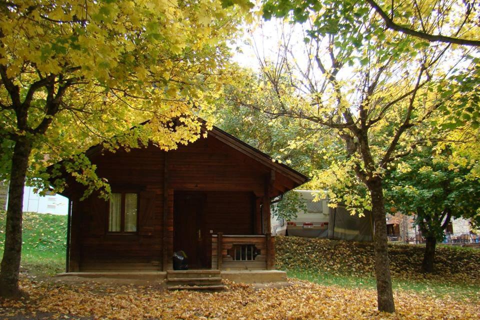 Zahrada ubytování Hotel, Bungalows y Camping Viu