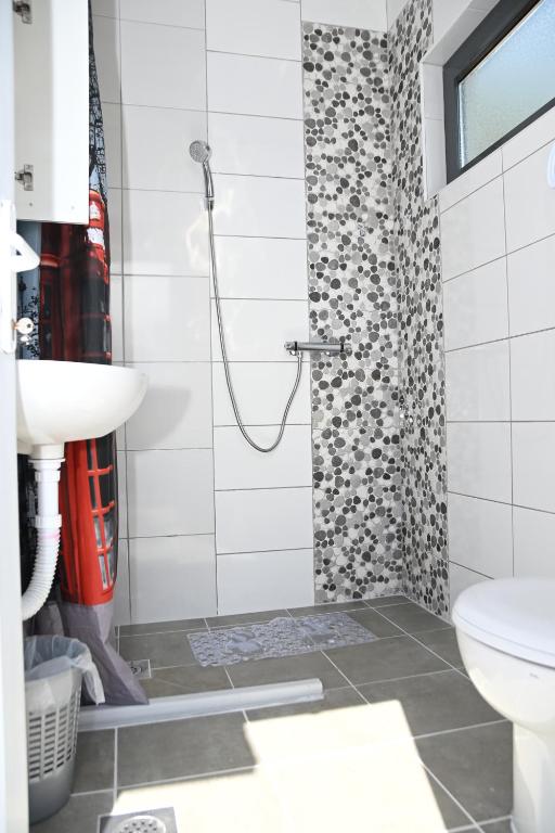 uma casa de banho com um chuveiro, um WC e um lavatório. em Villa Ella Tvrdos em Trebinje