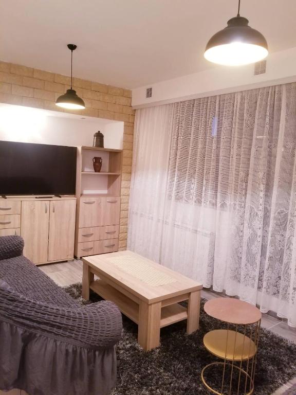 a living room with a couch and a table at Apartments Beka in Žabljak