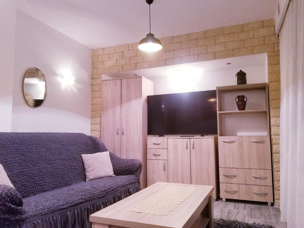 a living room with a couch and a flat screen tv at Apartments Beka in Žabljak