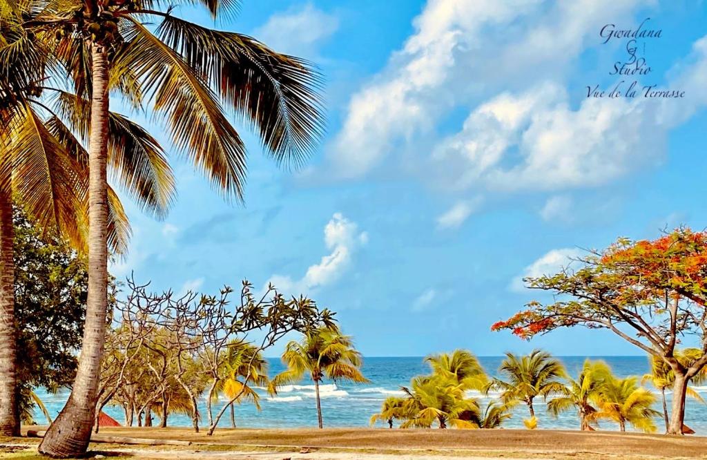 a group of palm trees on a beach with the ocean at Accès Direct Plage, Magnifique Vue Mer, Les Gwada Studios, Village Vacances in Sainte-Anne