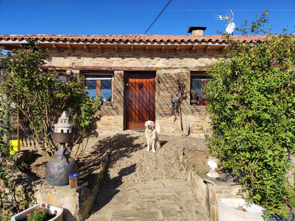 a dog standing in front of a house at Albergue La Casa del Camino in Valverde de la Virgen