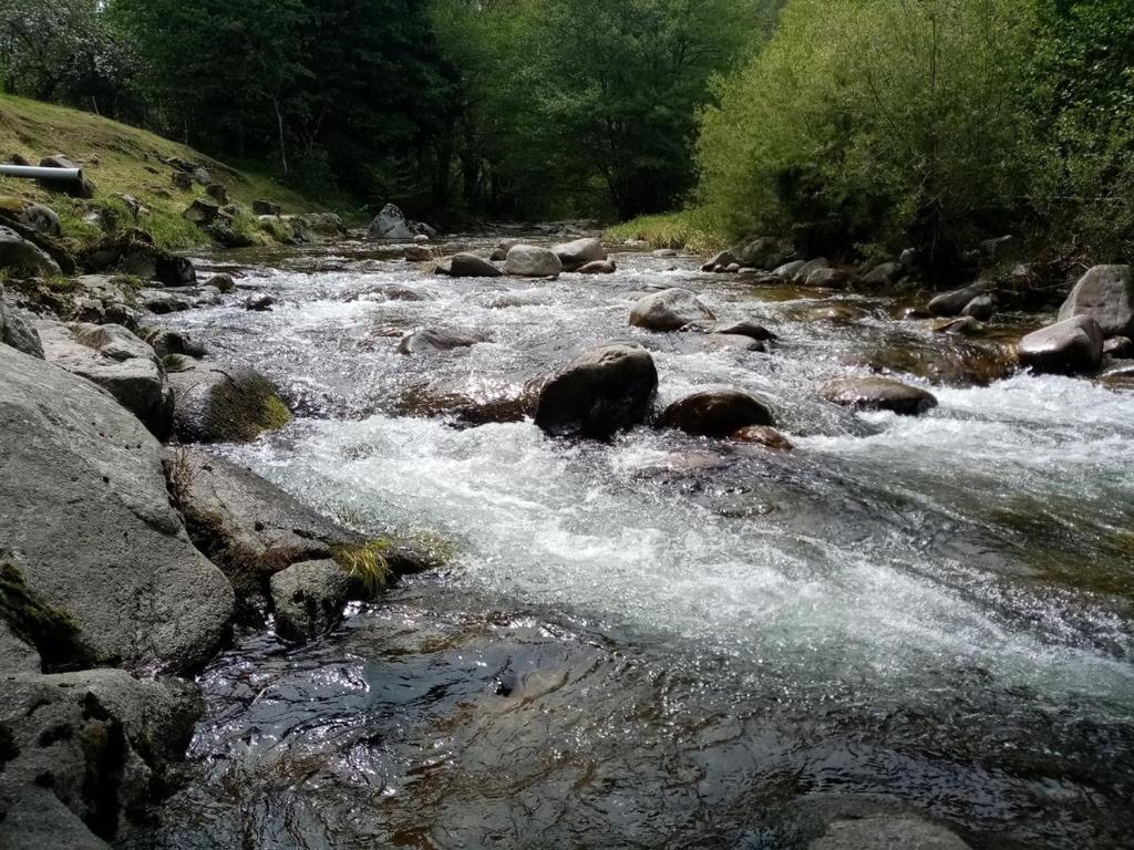 Příroda nedaleko venkovského domu
