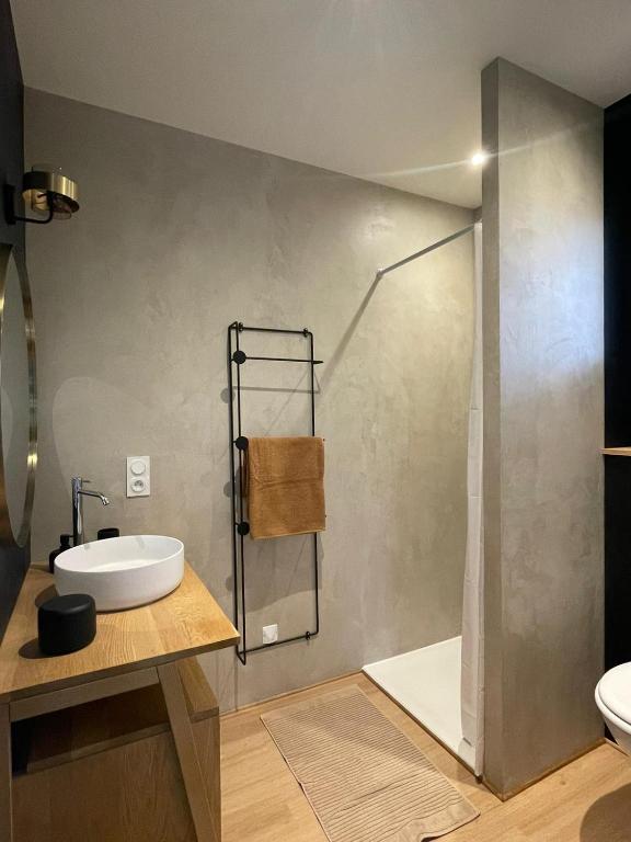 a bathroom with a sink and a shower at Au ptit Manoir in Montbert