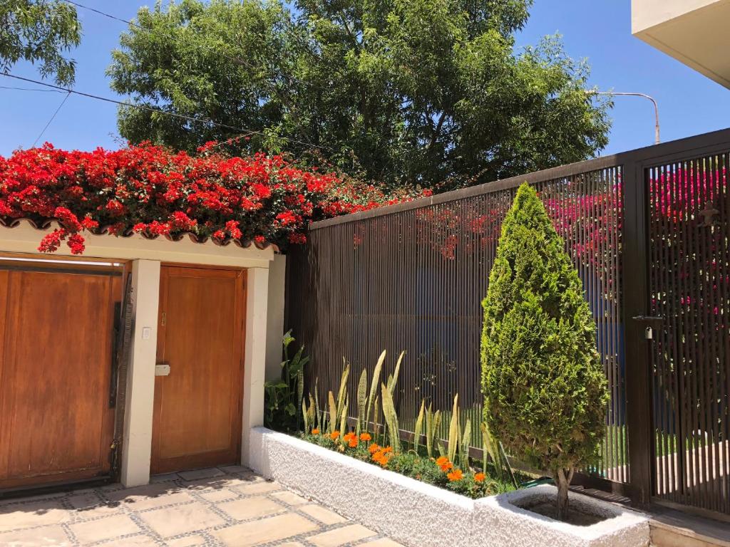 Um jardim em Villa San José
