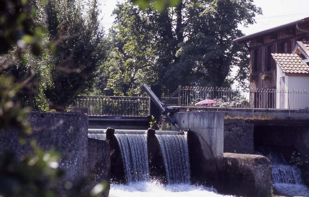 uma queda de água num parque com uma fonte em Le Moulin d'eclaron em Éclaron