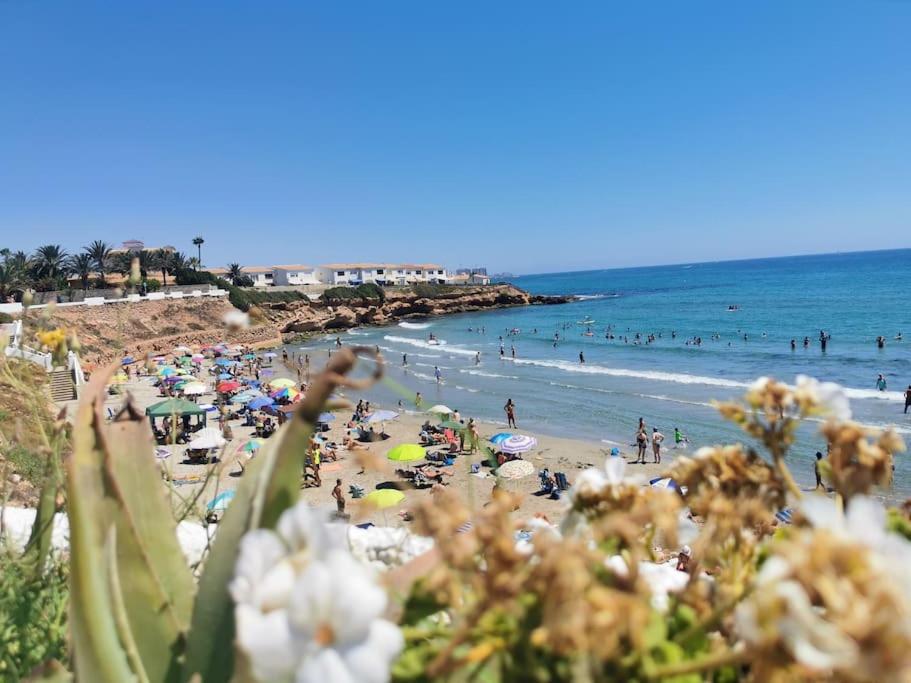 Oleza Garden Village , Apartment Ines, Playa Flamenca ...
