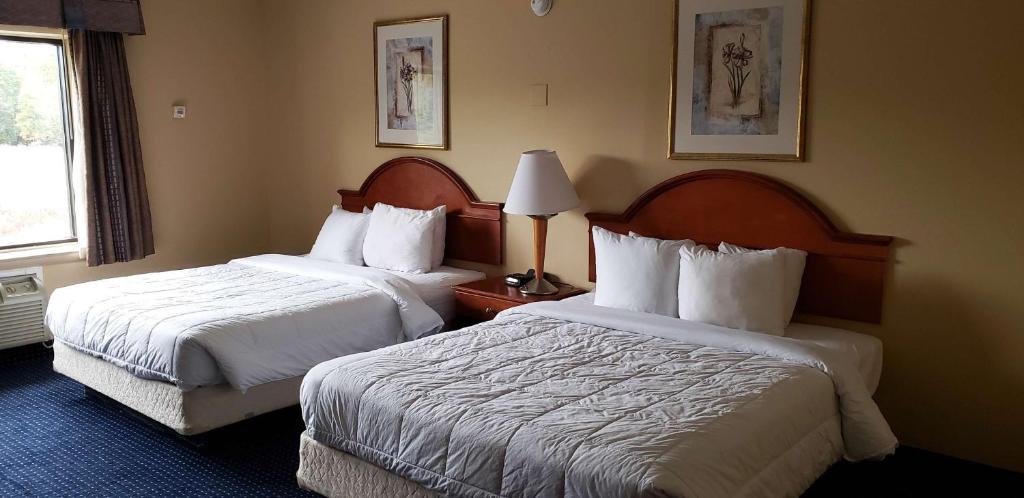 東溫莎的住宿－Motel 6 East Windsor, NJ Hightstown，酒店客房设有两张床和窗户。