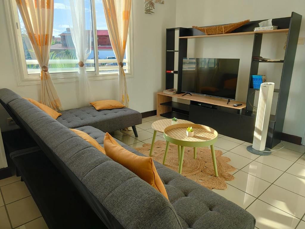 a living room with a couch and a tv at Appartement T2 - Sainte-Marie - 10 min de l'aéroport in Sainte-Marie