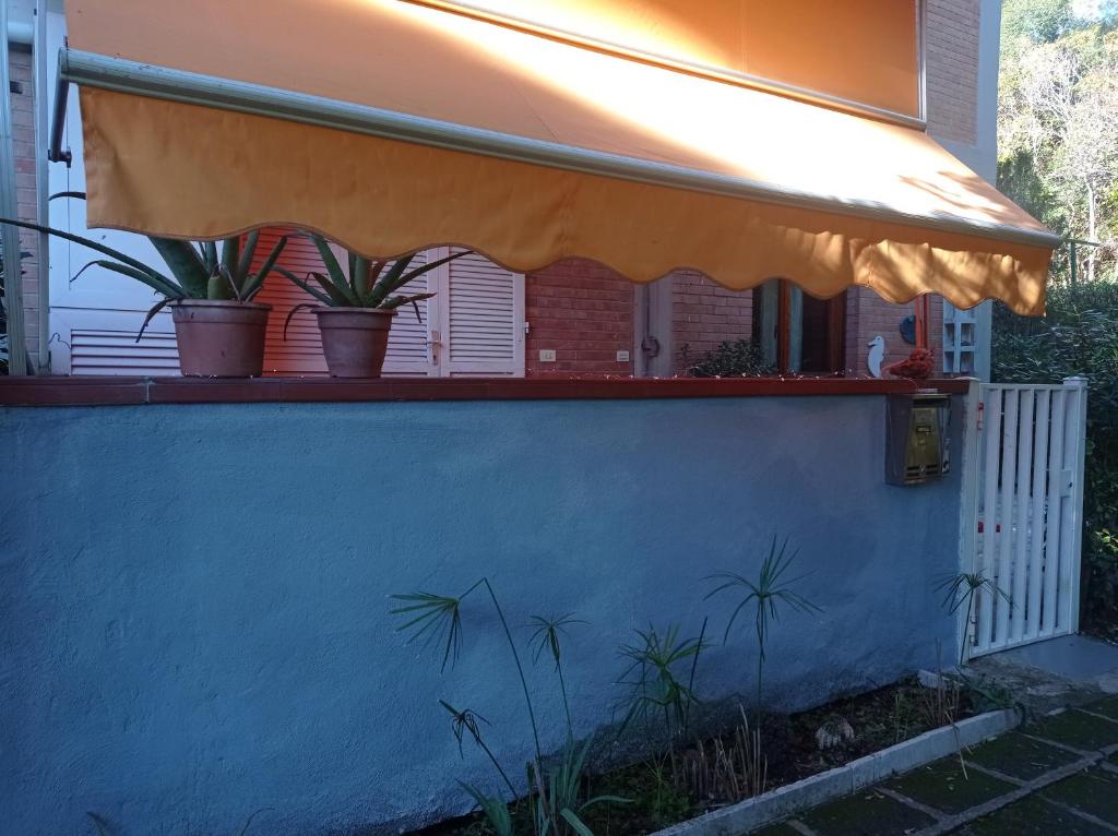 A casa di Ale في كاستيغليون ديلا بيسكايا: شرفة مع نباتات الفخار على الحائط