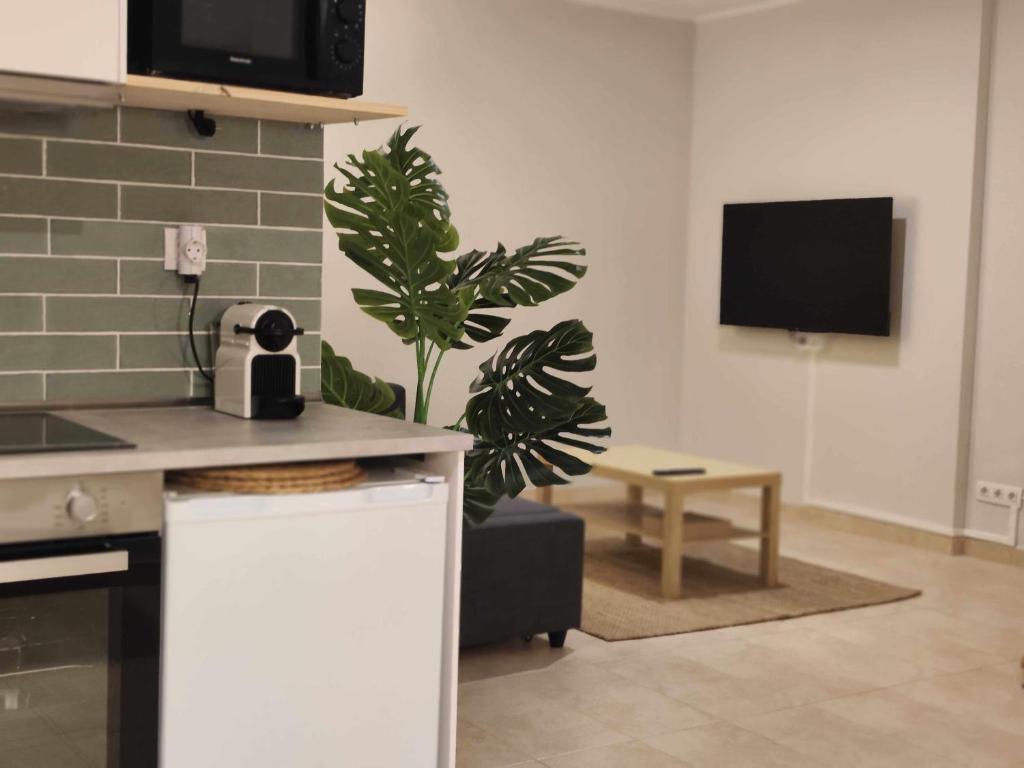Kuchyňa alebo kuchynka v ubytovaní Mazi Apartments Havana