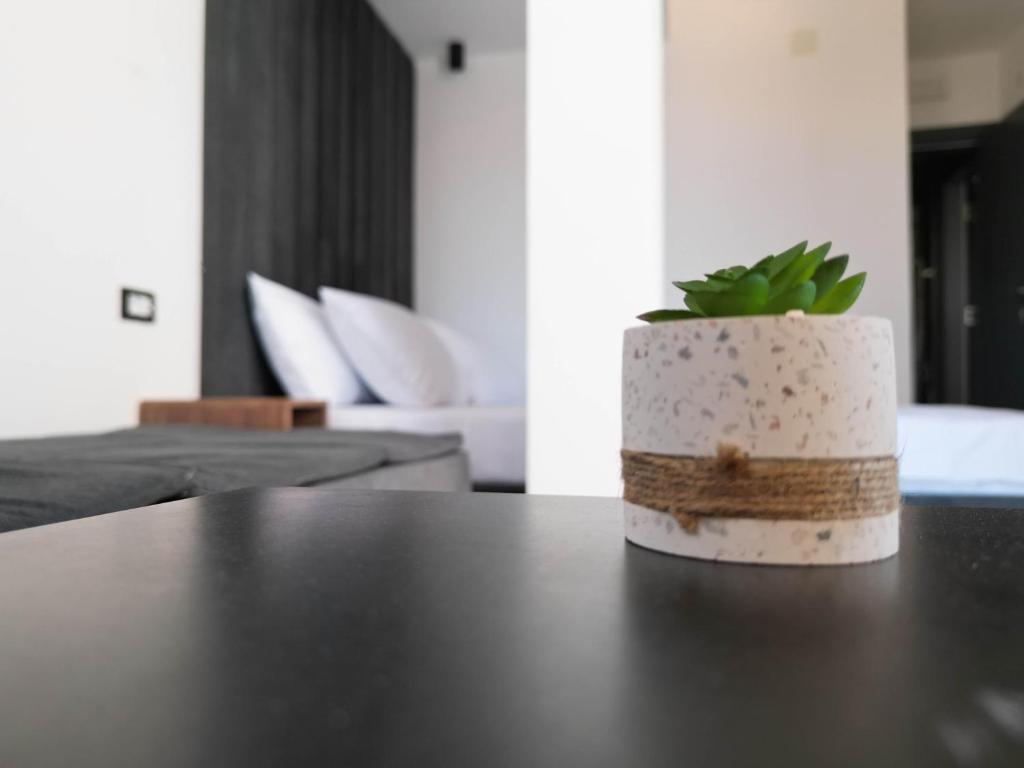 Fotografie z fotogalerie ubytování Sand Apartments v destinaci Ulcinj
