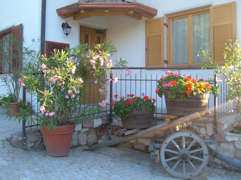 Ogród w obiekcie Agritur Widmann