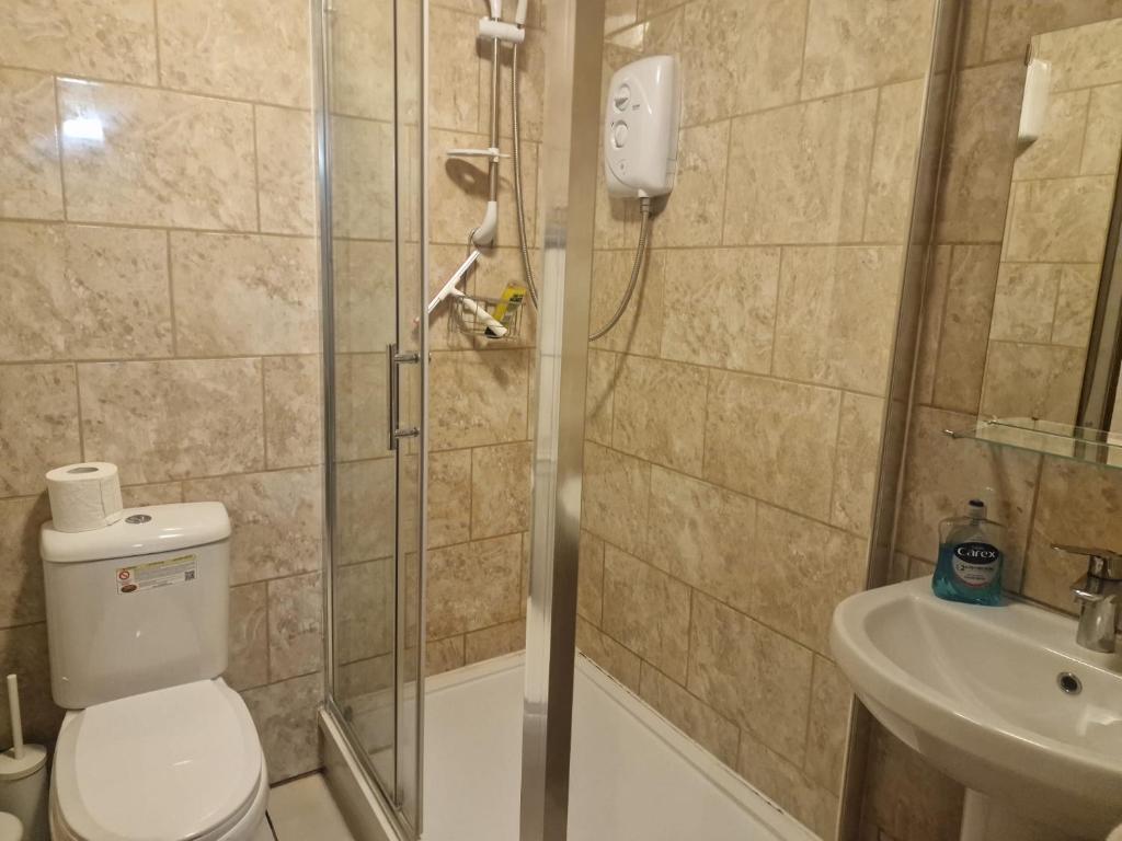 a bathroom with a shower and a toilet and a sink at Lovely 1 bedroom apartment in Bristol