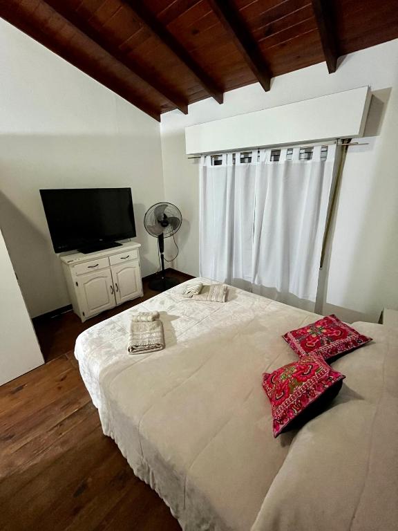 1 dormitorio con 1 cama grande y TV de pantalla plana en Complejo Alberdi Depto 3 en Tandil
