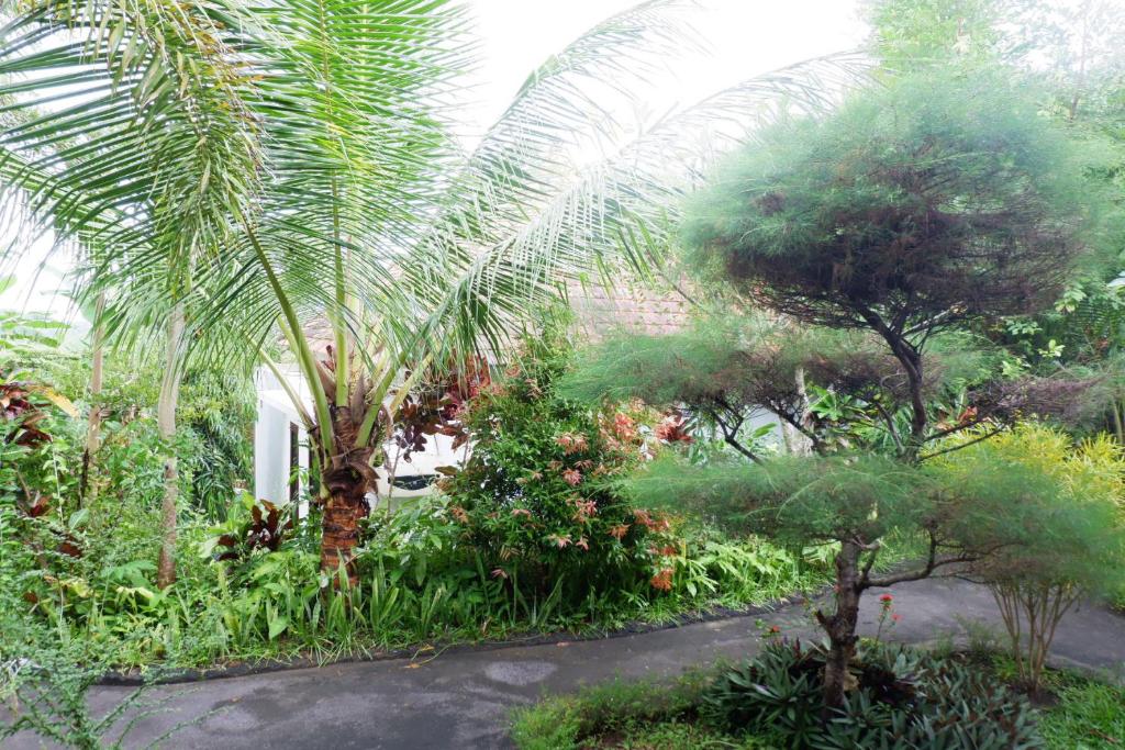 Arya Resort Nusa Penida - 16