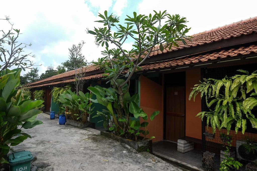 Zahrada ubytování RedDoorz near Lotte Mart Maguwoharjo Yogyakarta