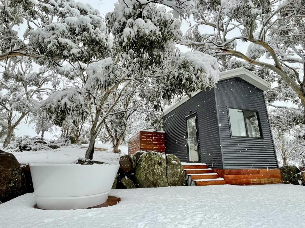 a small house covered in snow in front of trees at Moonbah Escapez in Moonbah