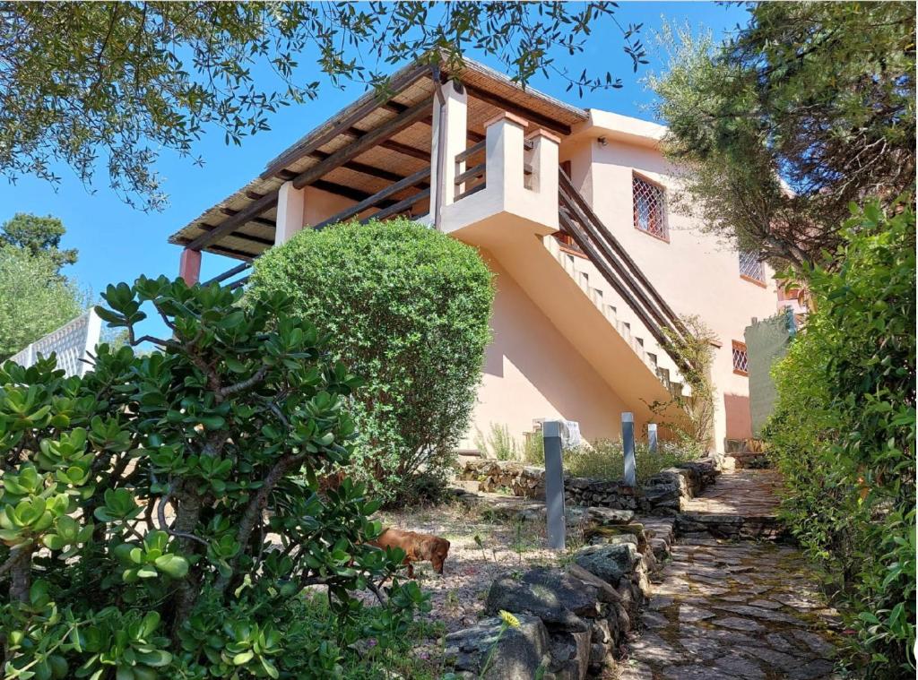 Κήπος έξω από το Dòmo a Palàttu casa vista mare a Porto Rotondo