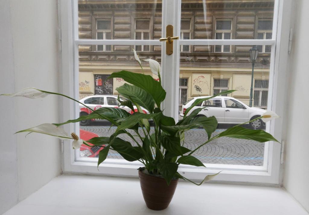 Greg Apartments Kampa Prague - 7