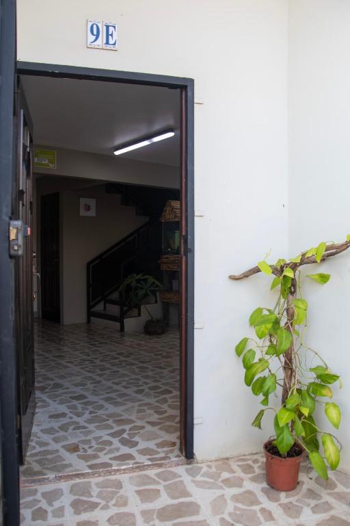 Fotografie z fotogalerie ubytování Las Carmelas, Airport Juan Santamaría, Alajuela, San José v destinaci Alajuela