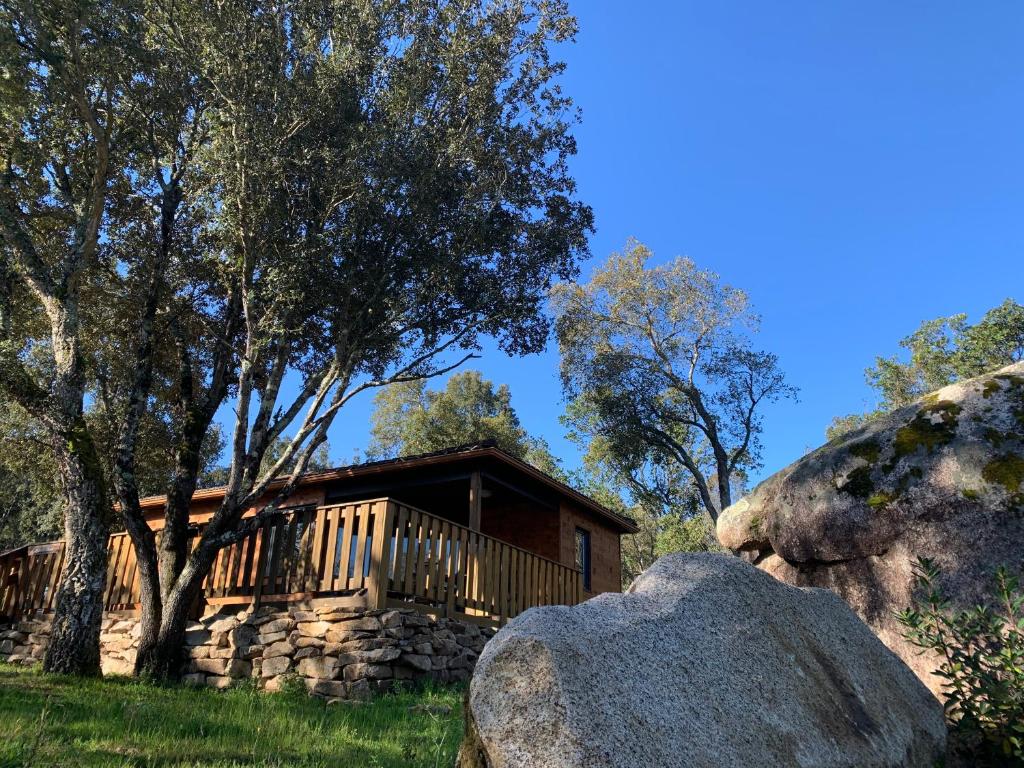 a cabin in the woods with a large rock at L'Aravone Lodge in Sartène