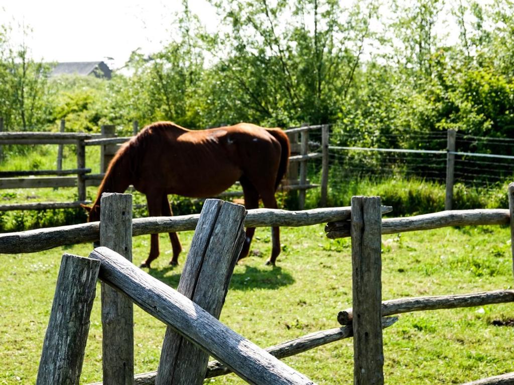 Zvířata v kempu nebo okolí