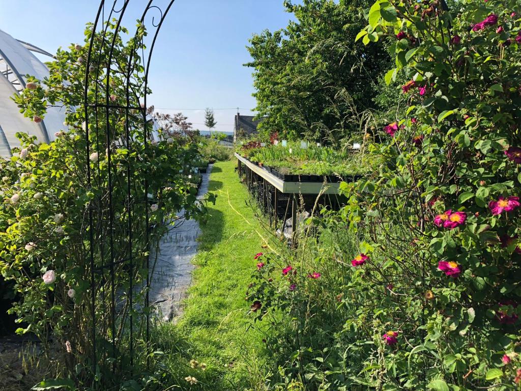 einen Garten mit Blumen und Pflanzen auf einem Kanal in der Unterkunft Kräuterhaus - herbgarden in Kleinich