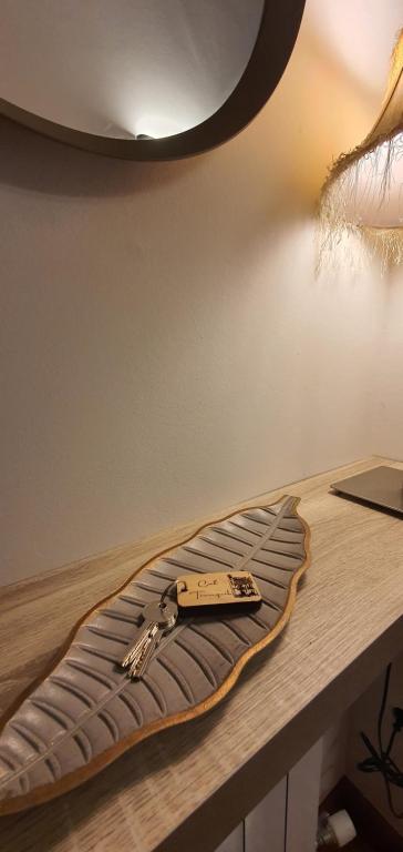 Foto de la galeria de CAL TRANQUIL Camprodon, acollidor àtic al centre a Camprodon