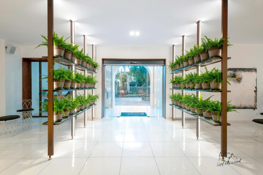 a room with shelves filled with potted plants at Hotel Villa Durrueli Resort & Spa in Ischia