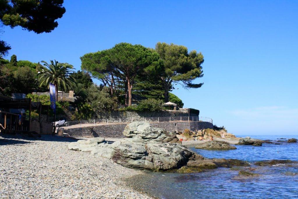 a rocky beach with a bridge and trees and water at Casa di Mare in San-Martino-di-Lota