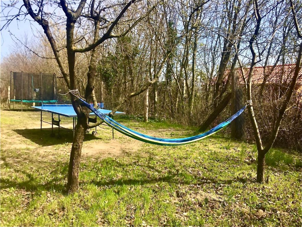 Ogród w obiekcie Várhegy Vendégház