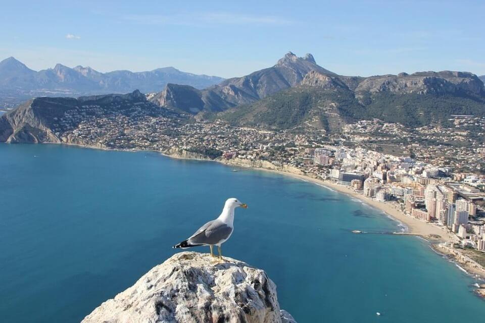 Táj az apartman közelében