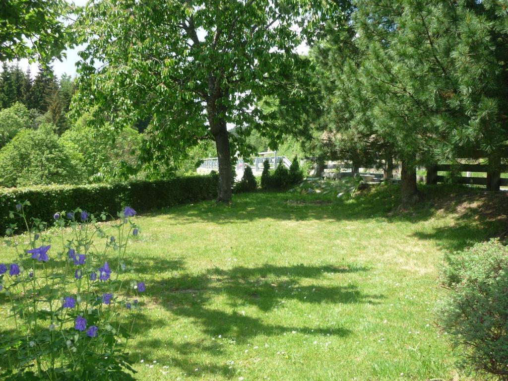 ein Grasfeld mit Bäumen und blauen Blumen in der Unterkunft Appartement Lechthaler in Embach