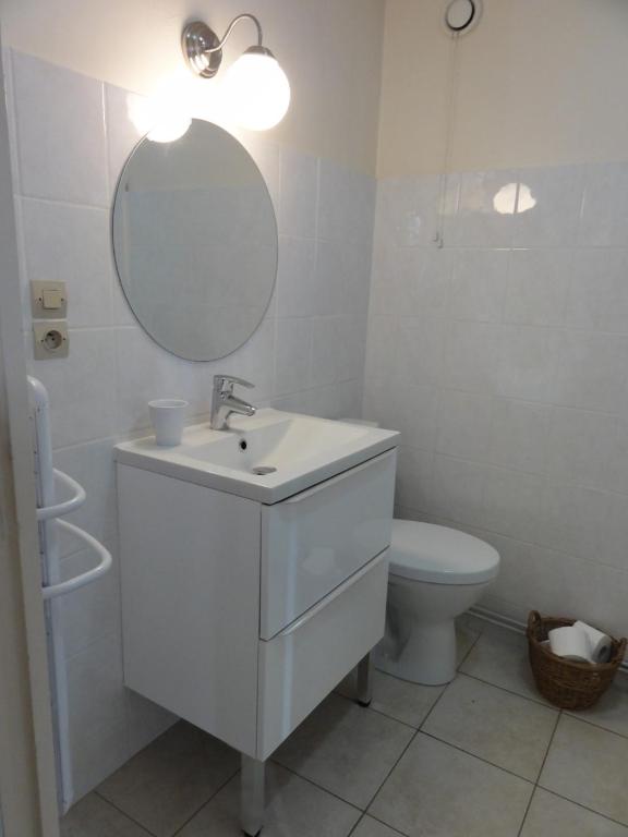 a bathroom with a sink and a mirror and a toilet at QUAI 2 in Saumur