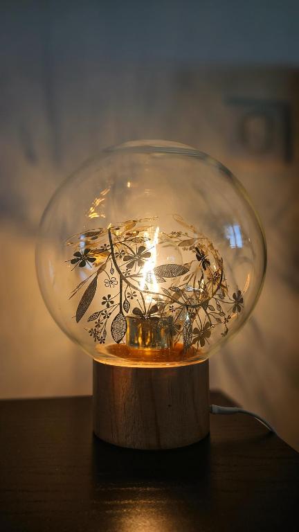 a glass dome on top of a wooden table at Arbre Blanc, une folie montpelliéraine in Montpellier