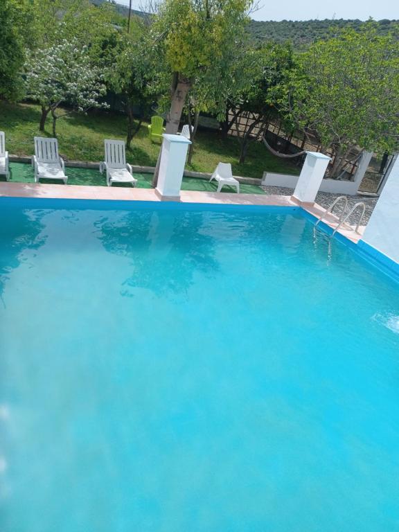 a large blue swimming pool with chairs and trees at Quinta da Ponte das Hortas 1 in Elvas
