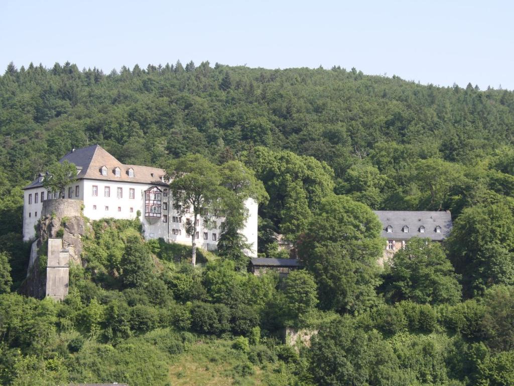 Příroda nedaleko apartmánu