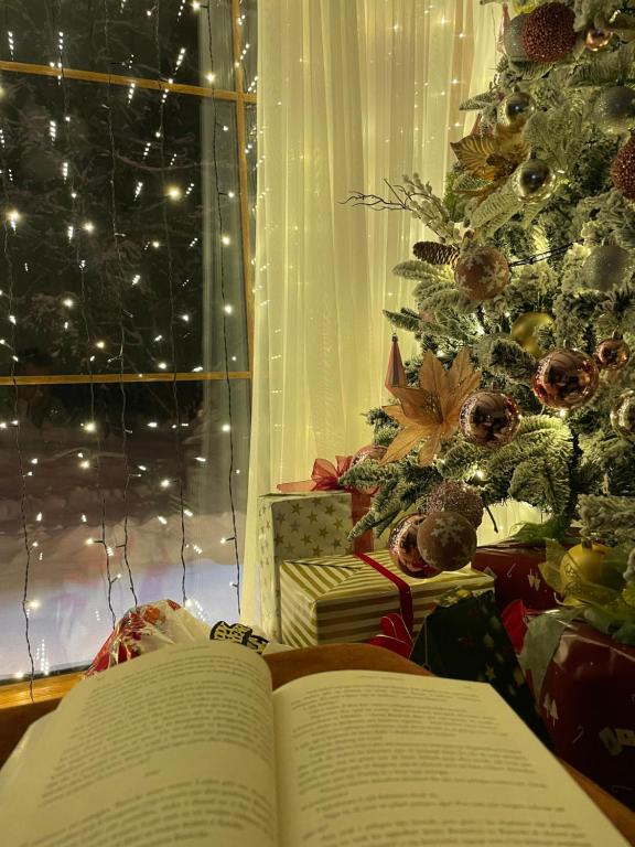 an open book in front of a christmas tree at Villa Breza Brezovice in Brezovica