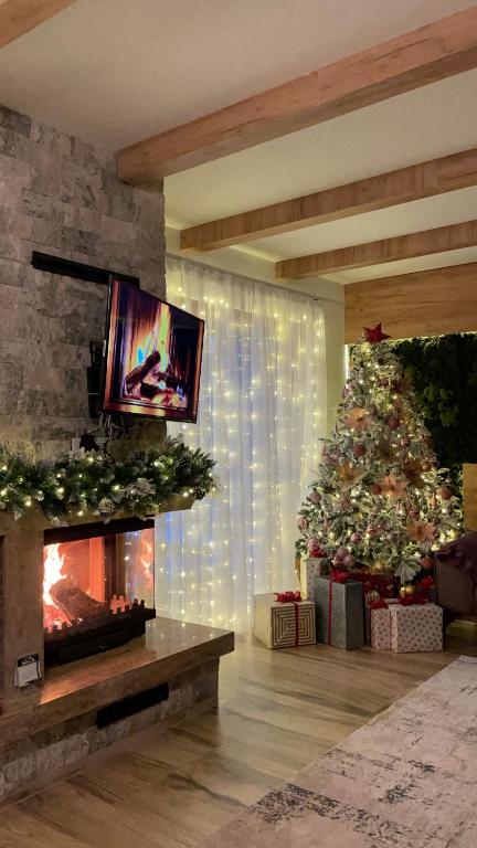 a living room with a fireplace and a christmas tree at Villa Breza Brezovice in Brezovica