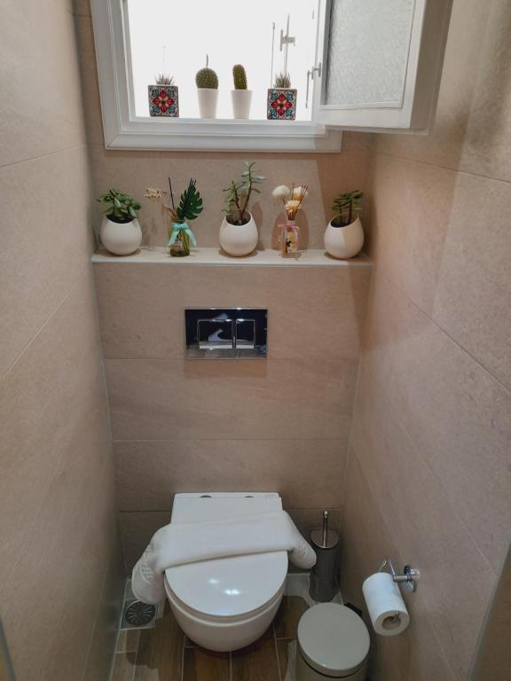 a bathroom with a toilet and a window and potted plants at Tatiana's House in Spetses