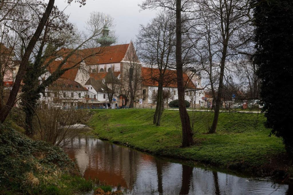 Fotografie z fotogalerie ubytování Litvan SUNSET Apartments v Českých Budějovicích