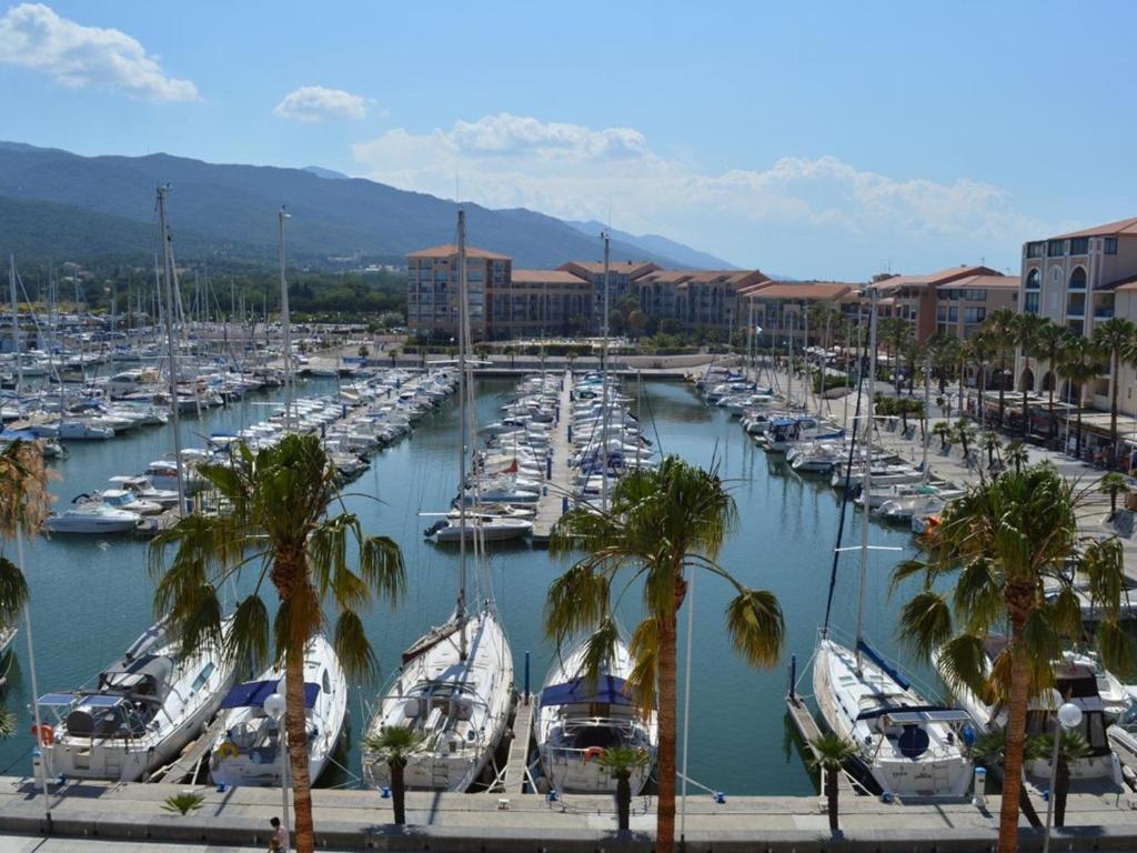 un groupe de bateaux amarrés dans un port de plaisance avec des palmiers dans l'établissement Appartement 2P / cabine, proche plage, parking privatif - FR-1-225-59, à Argelès-sur-Mer