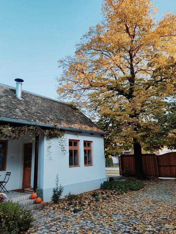 Budova, kde se bed and breakfast nachází