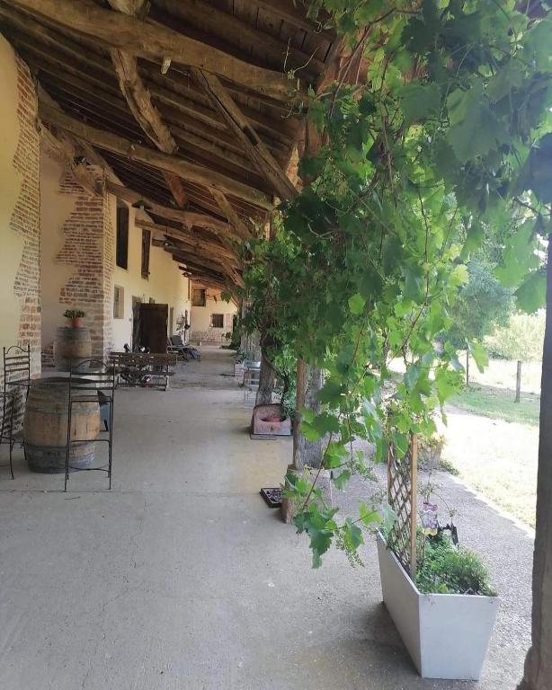 Zahrada ubytování Domaine des Granges Neuves