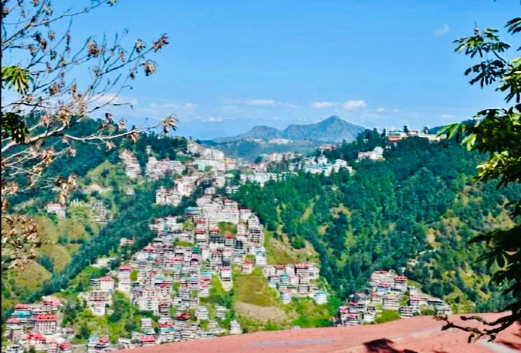 The Cedar Villa, Shimla Updated 2023 Prices