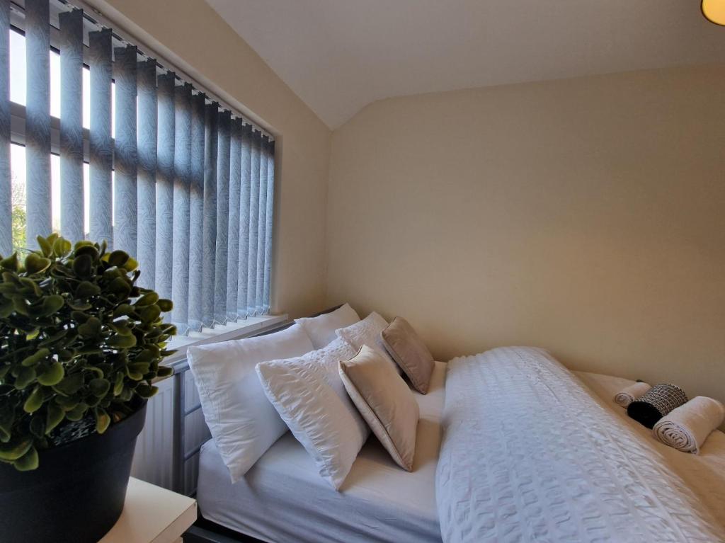 Nice Living Serviced Accommodations 6 - Double Room With Shared Bathroom
